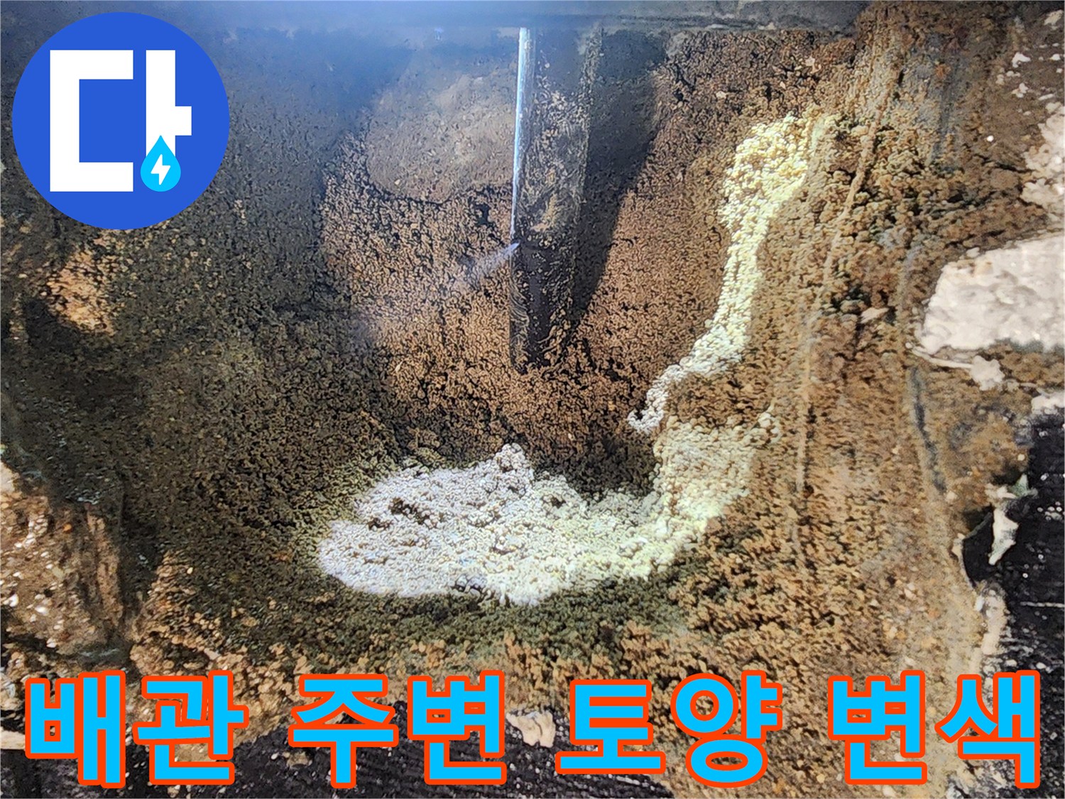 배관-주변의-젖은-흙과-하얀-백화현상