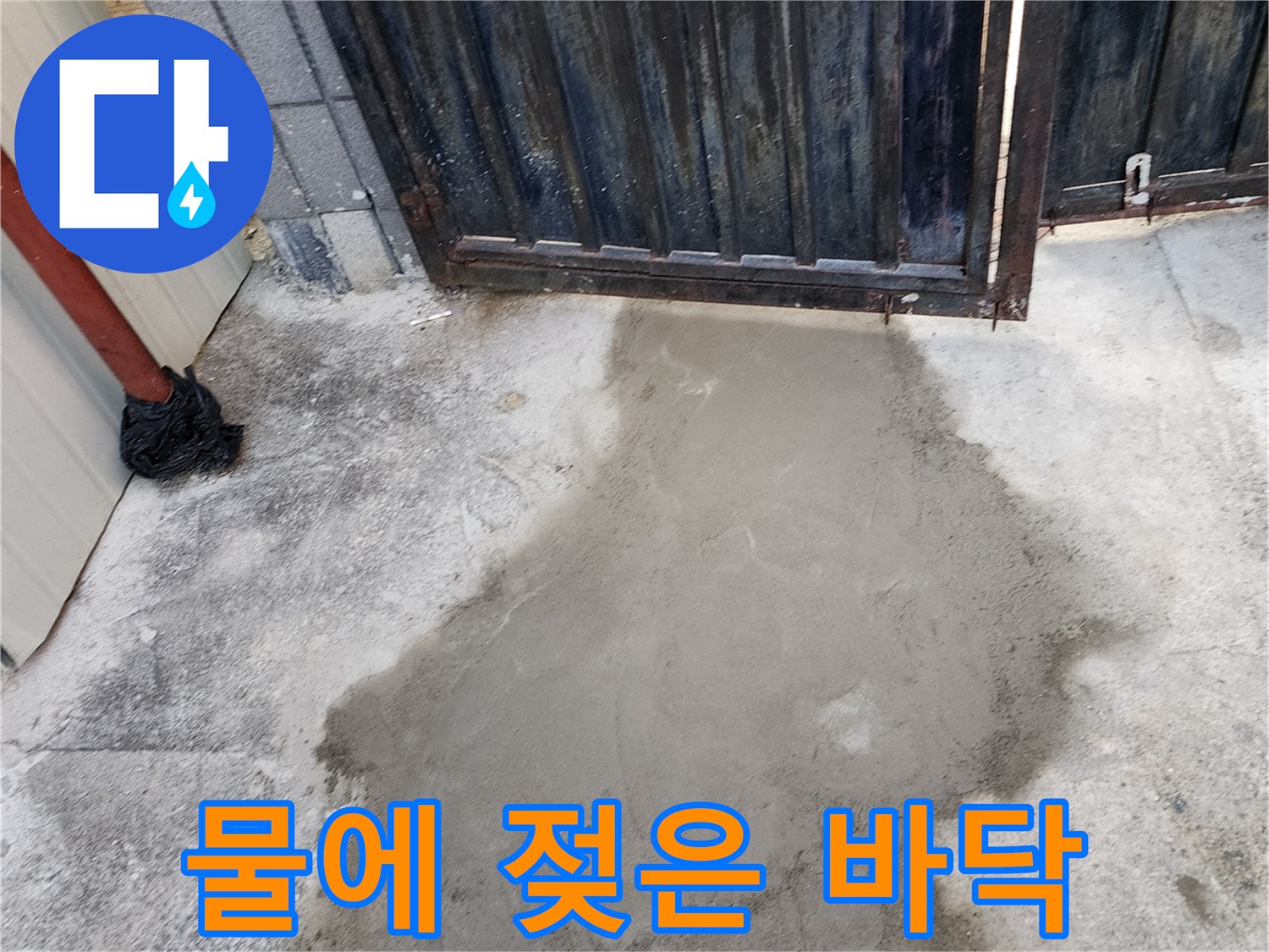의정·마당-바닥-습기-발견-상황