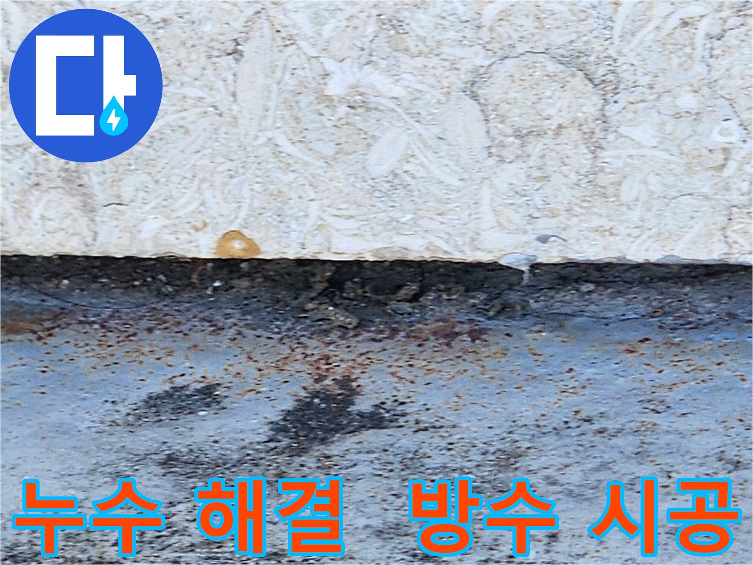 성내동 누수 문제 해결 - 건물 구조 약화 방지 및 곰팡이 발생 억제
