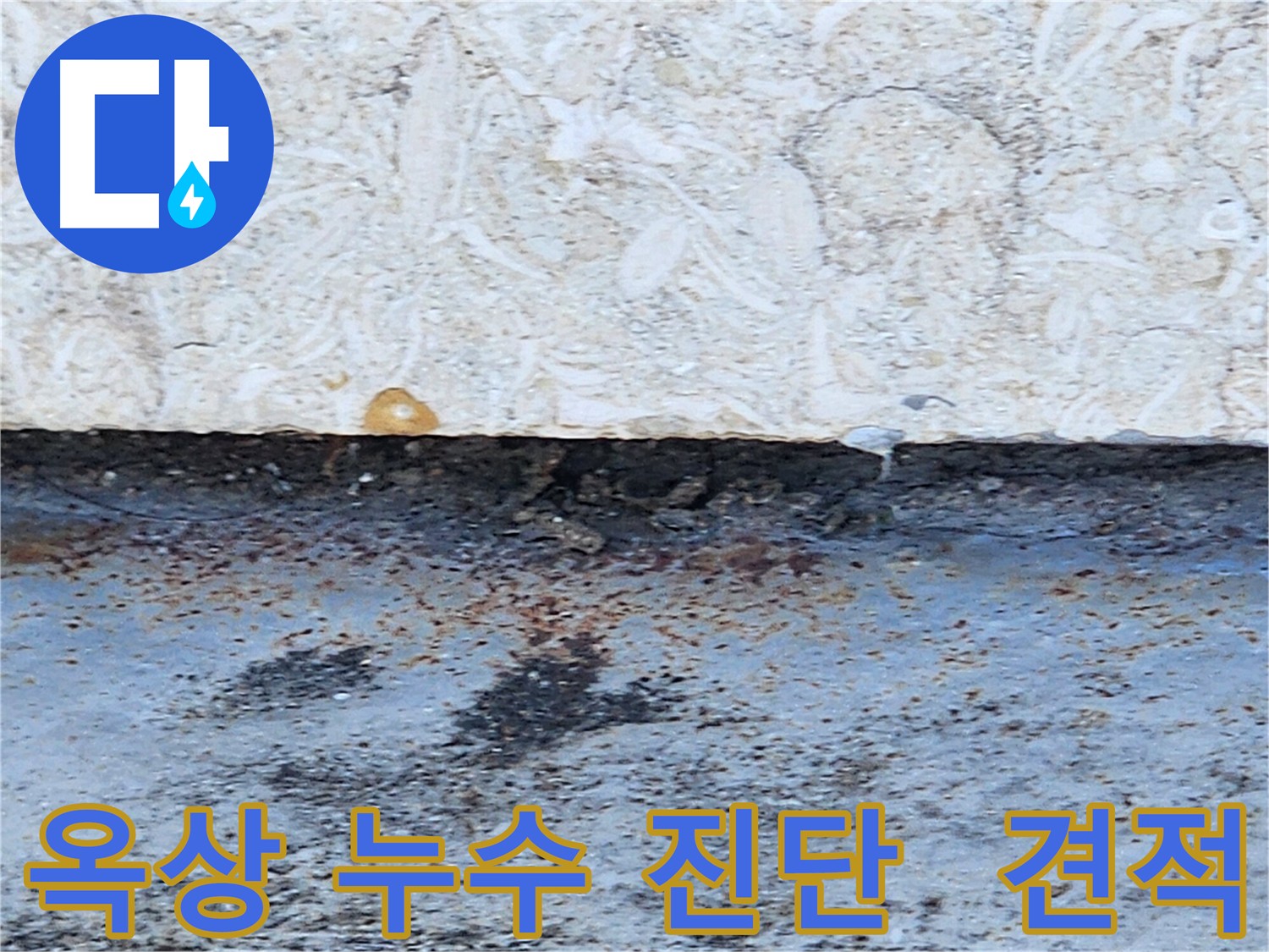 강동구 성내동 옥상 누수 진단 - 꼼꼼한 점검으로 누수 원인 파악 및 맞춤형 방수 공사 제안