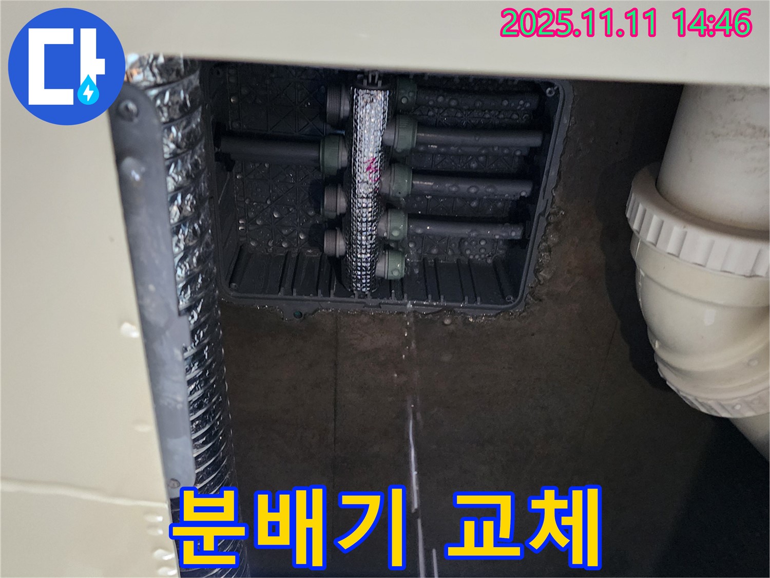 분배기 누수 - 새 분배기로 교체