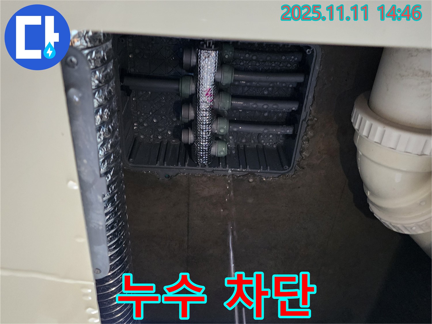 분배기 누수 - 완벽하게 차단