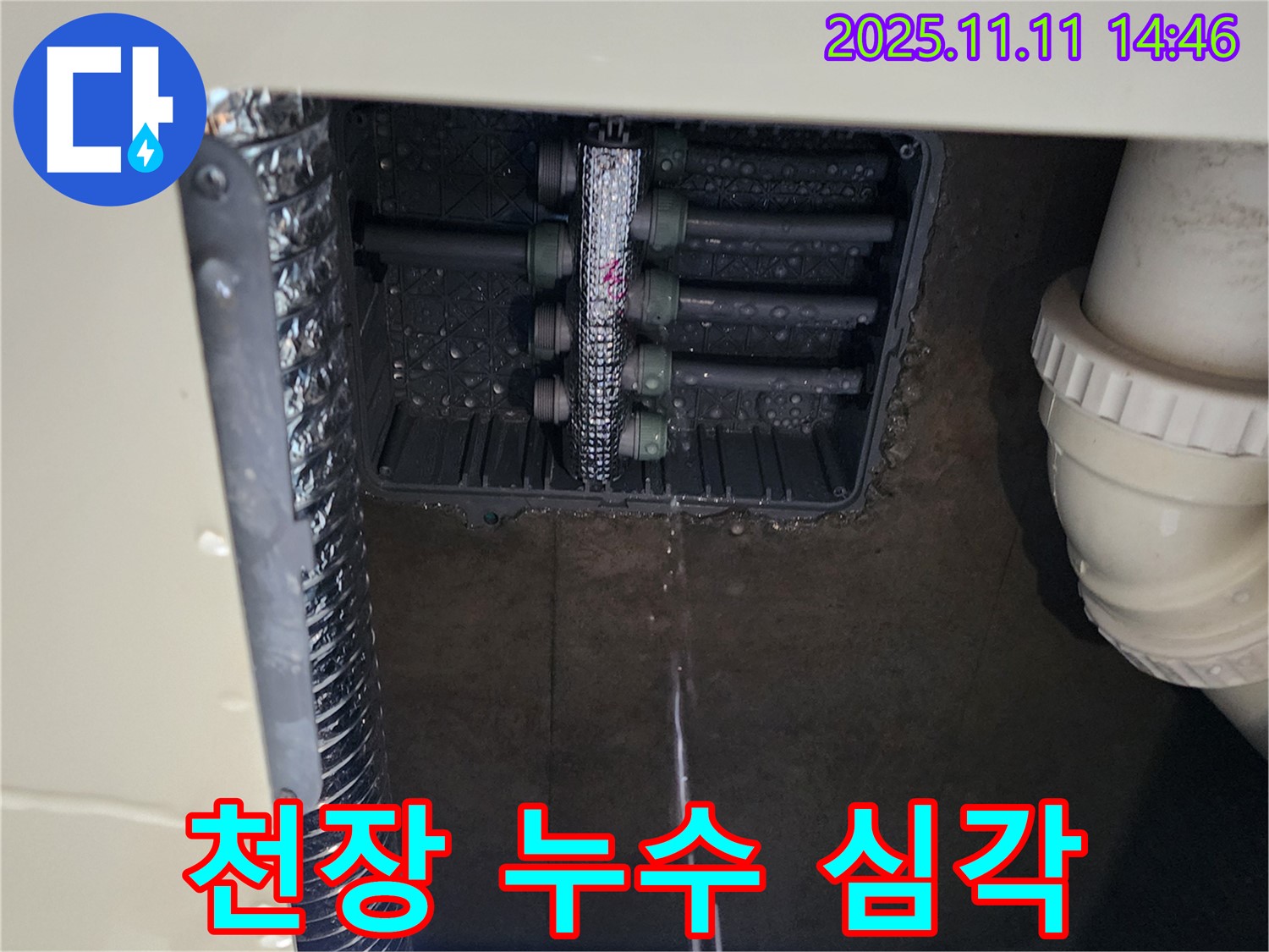 천장 누수 - 물 떨어짐