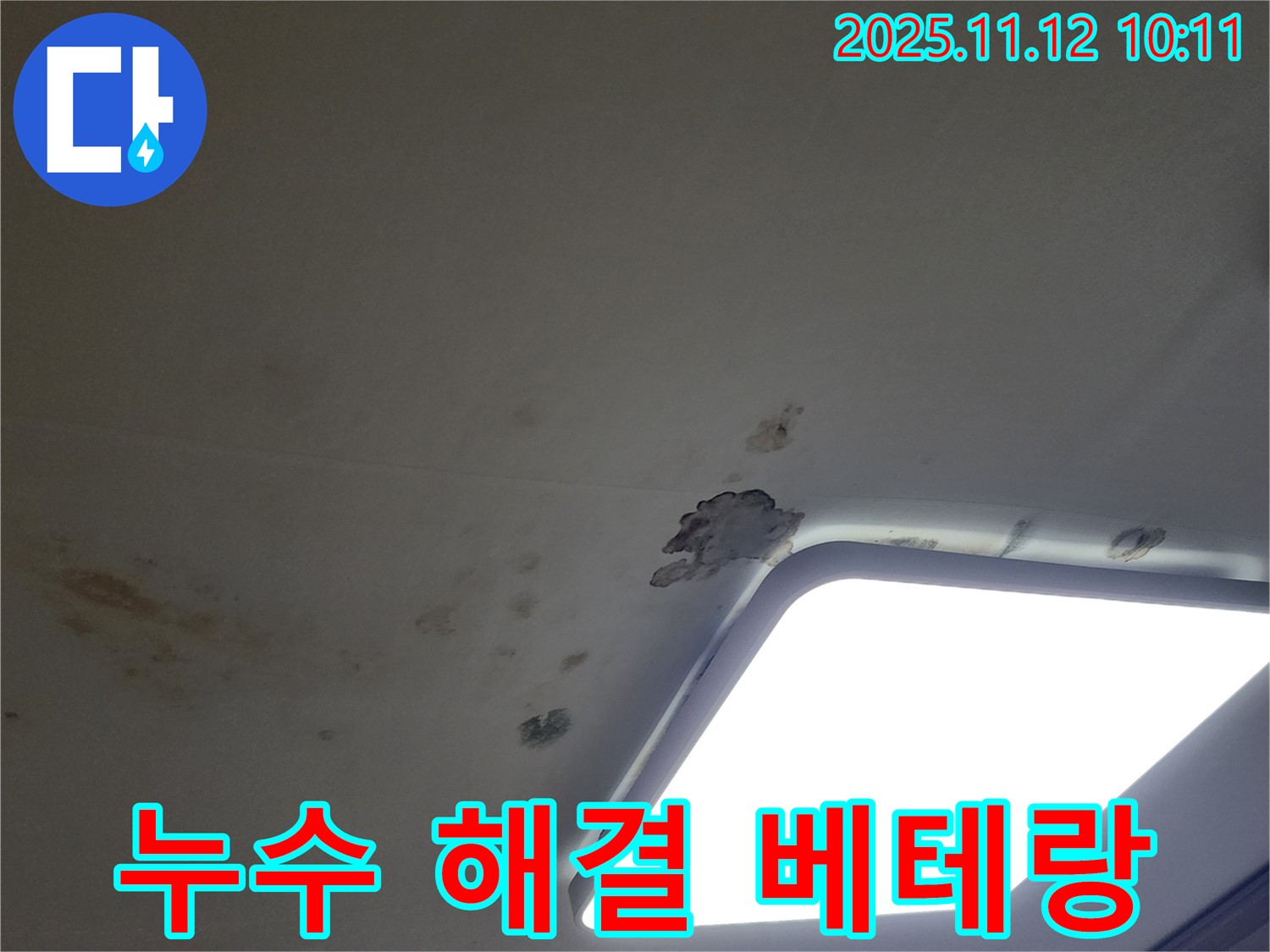 15년 경력 - 천장 누수 해결사
