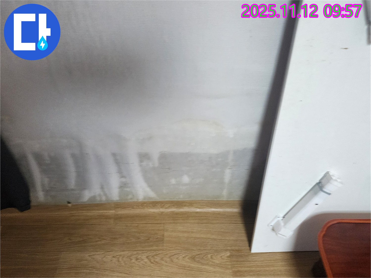 젖은 벽지 - 곰팡이 직전 - 긴급 해결