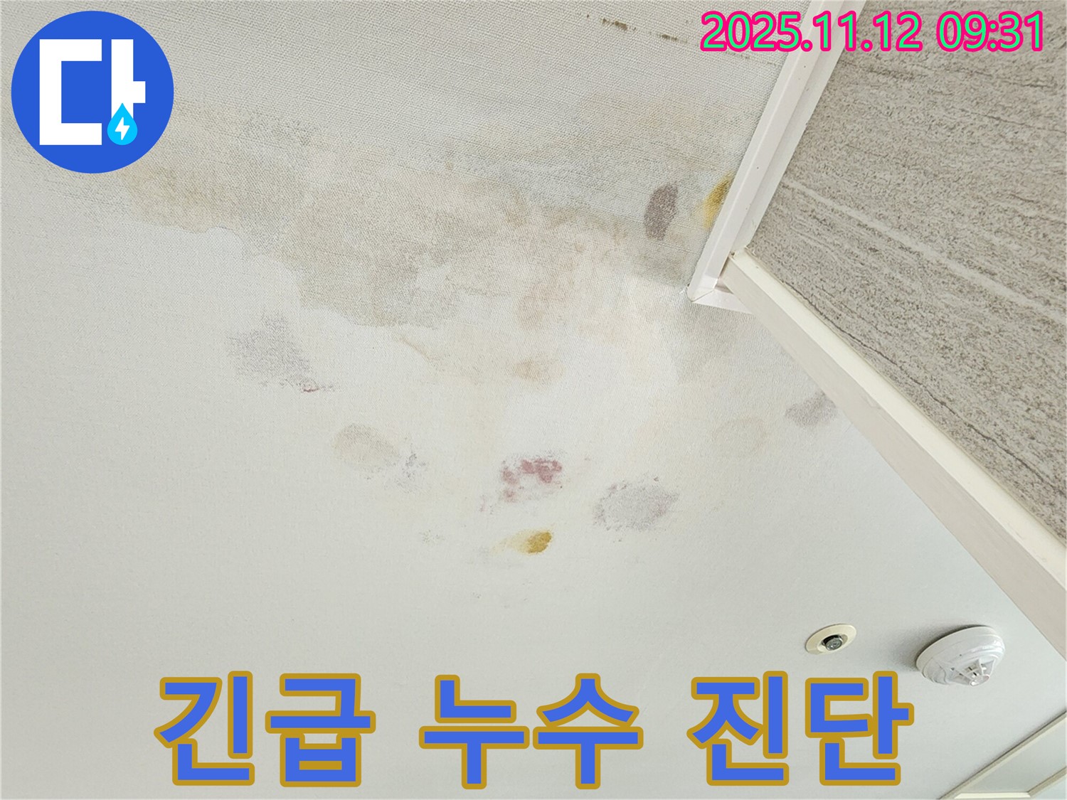 경기도 포천시 소흘읍 누수 - 긴급 누수 진단