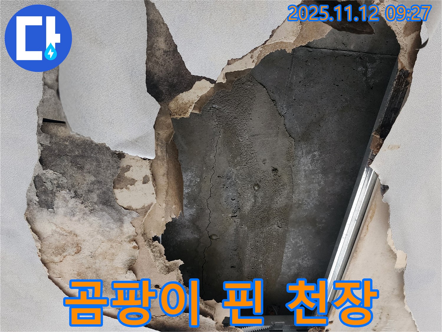 곰팡이 핀 천장 - 건강을 위협하는 곰팡이