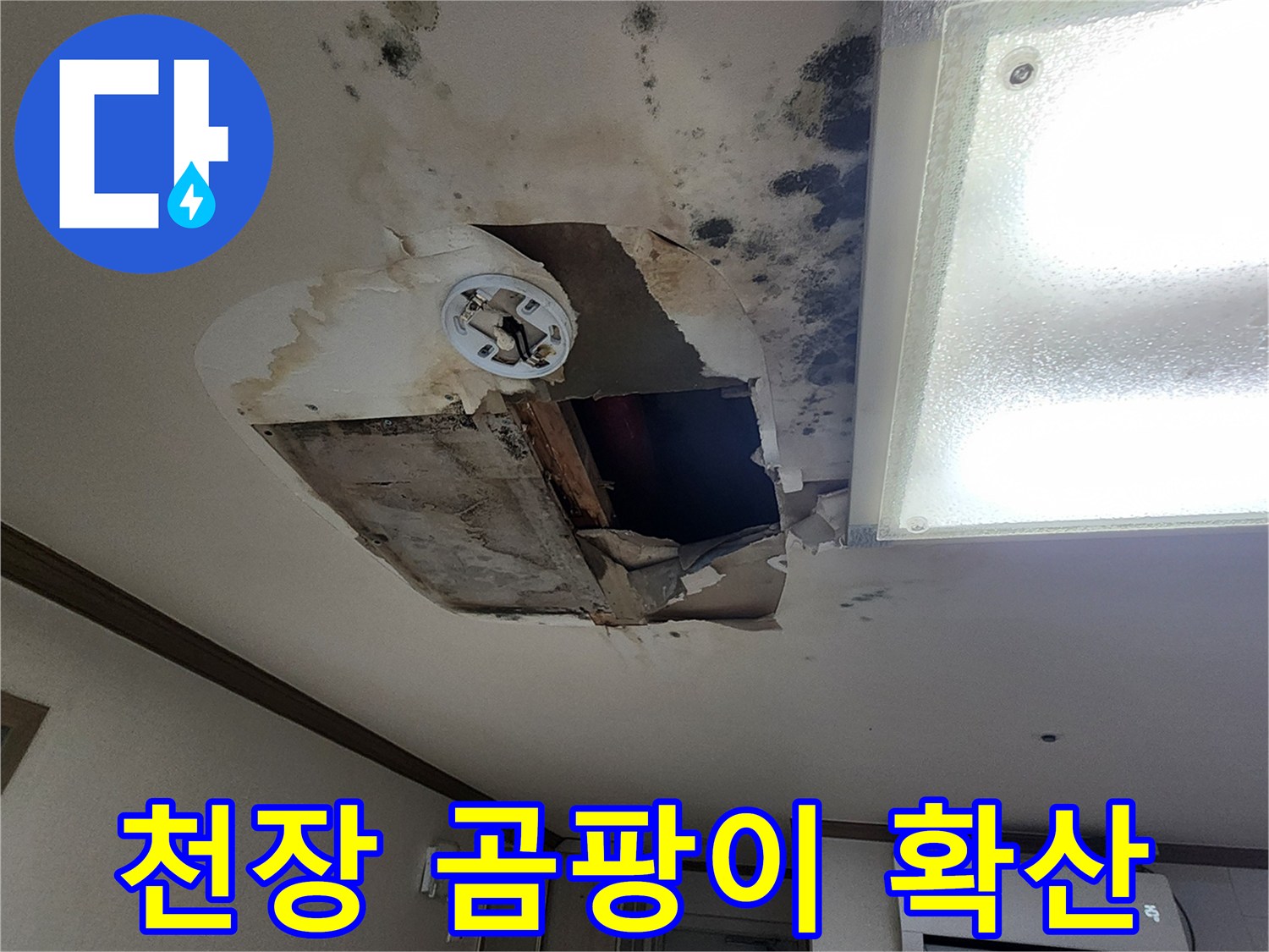 넓게 퍼진 검은색 곰팡이와 물에 젖은 천장 마감재