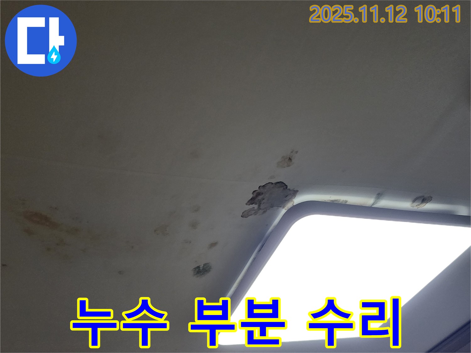 누수 부분 수리 - 경제적인 선택