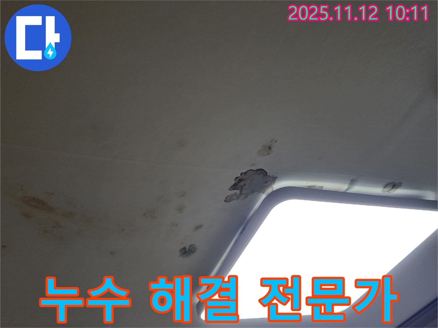 누수 해결 전문가 - 꼼꼼한 작업