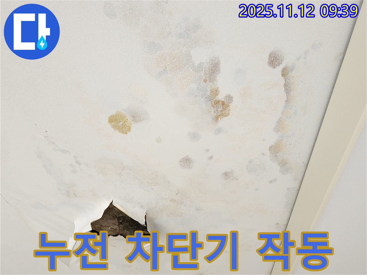 누전 차단기 작동 - 천장 누수 - 긴급 점검