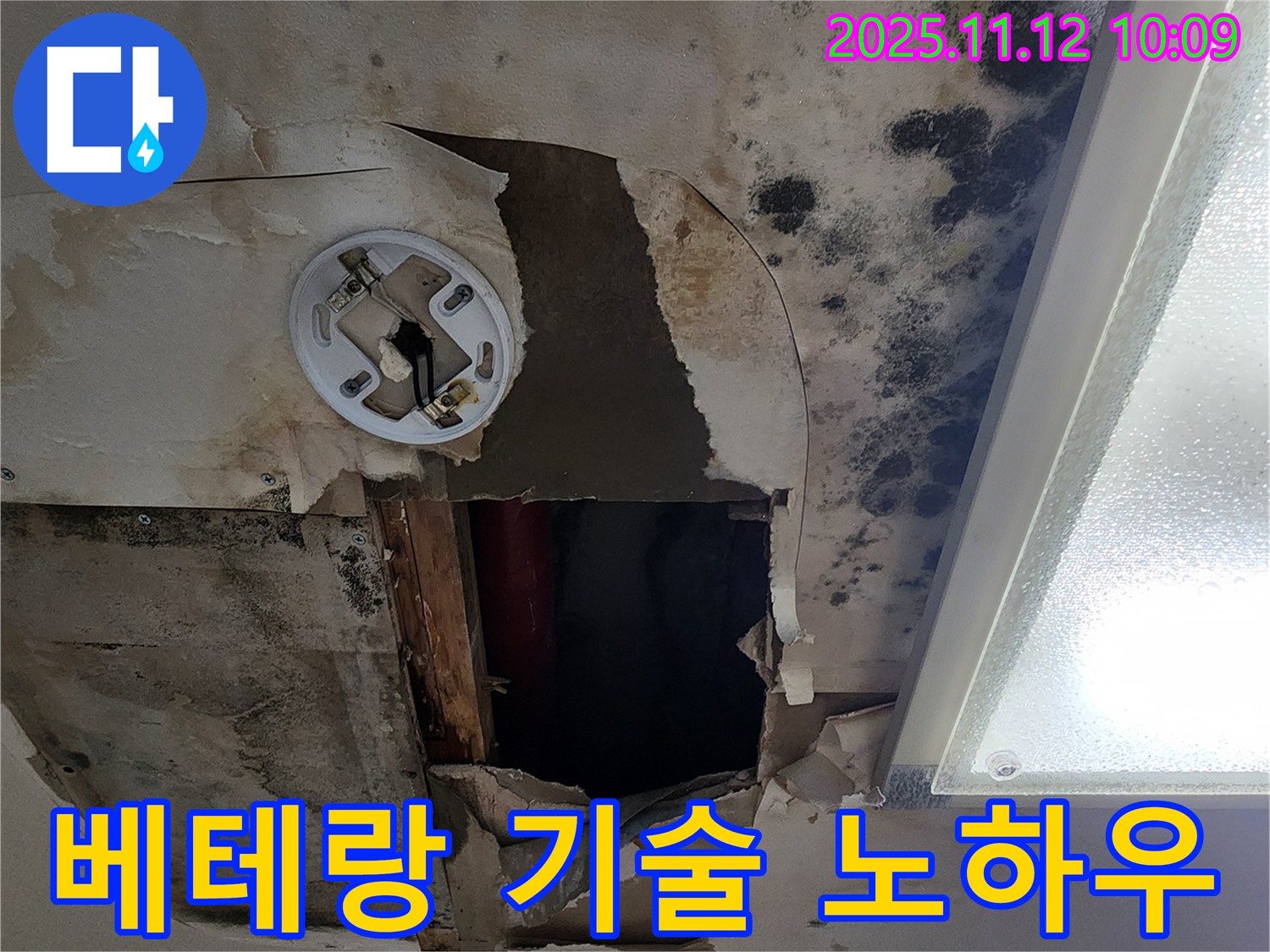 베테랑 기술 노하우 - 곰팡이 천장 누수 완벽 해결