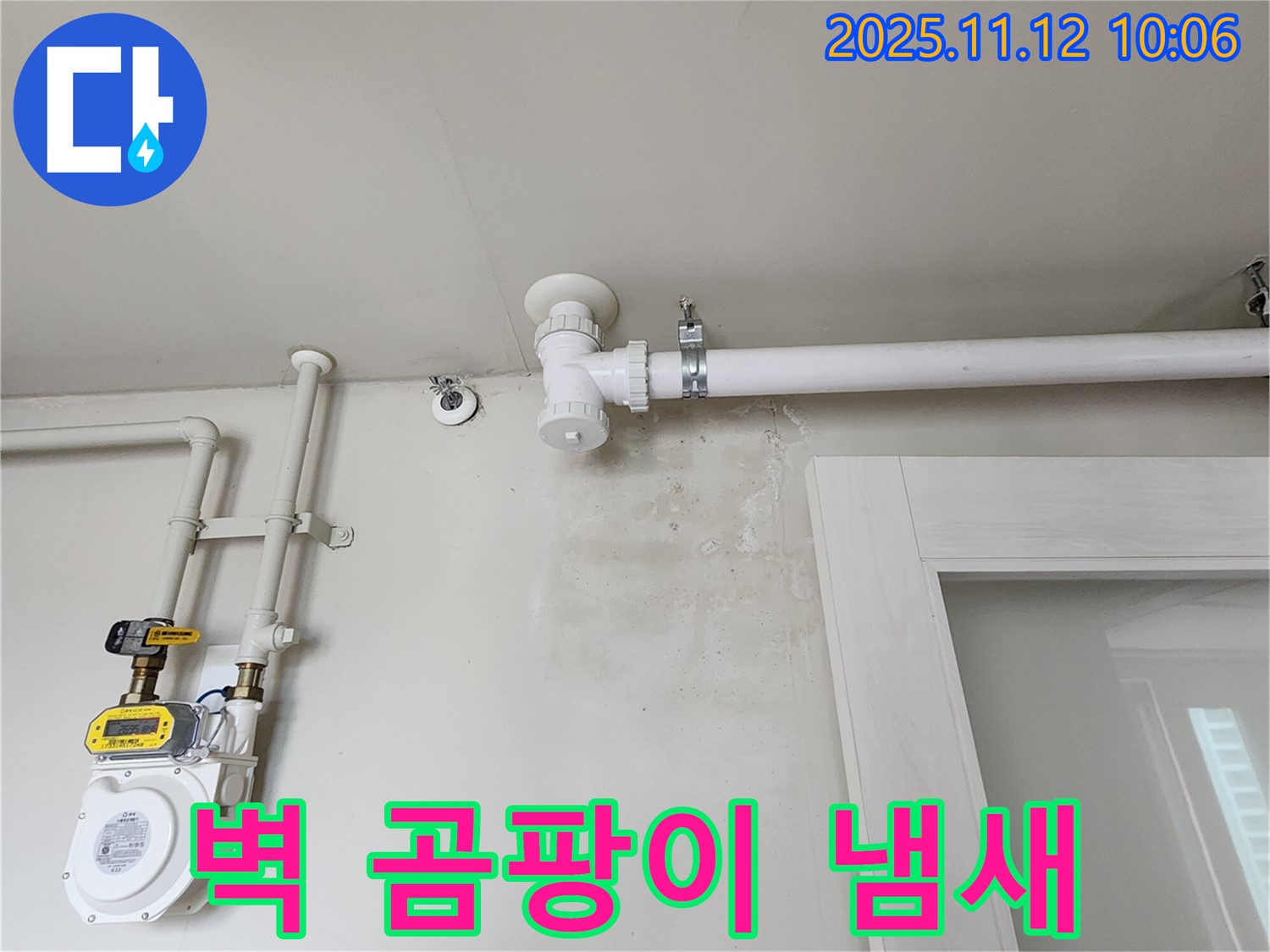 벽 곰팡이 냄새 - 건강에 적신호!