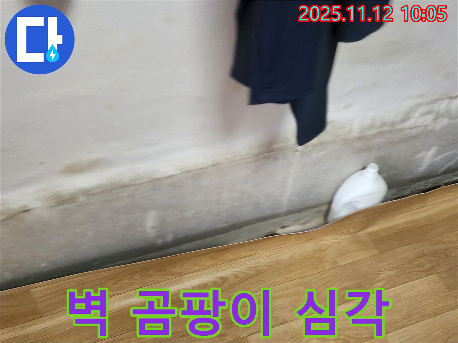 벽 곰팡이 심각 - 누수 심각성 - 즉시 해결