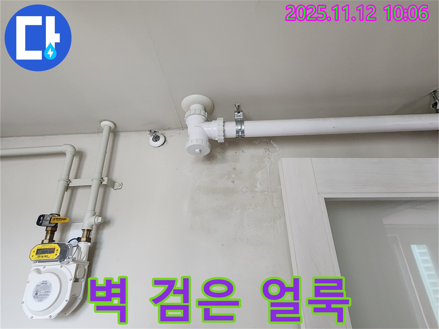 벽에 검은 얼룩 - 곰팡이 번식 시작!