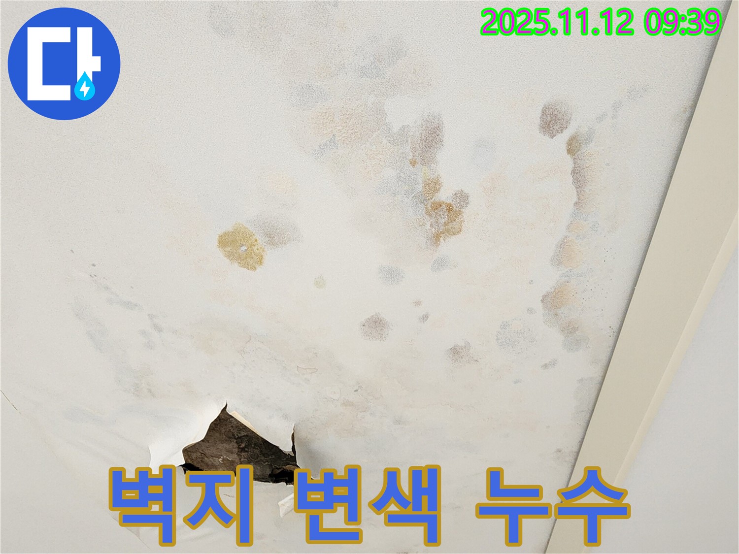 벽지 변색 - 누수 진행 - 빠른 해결