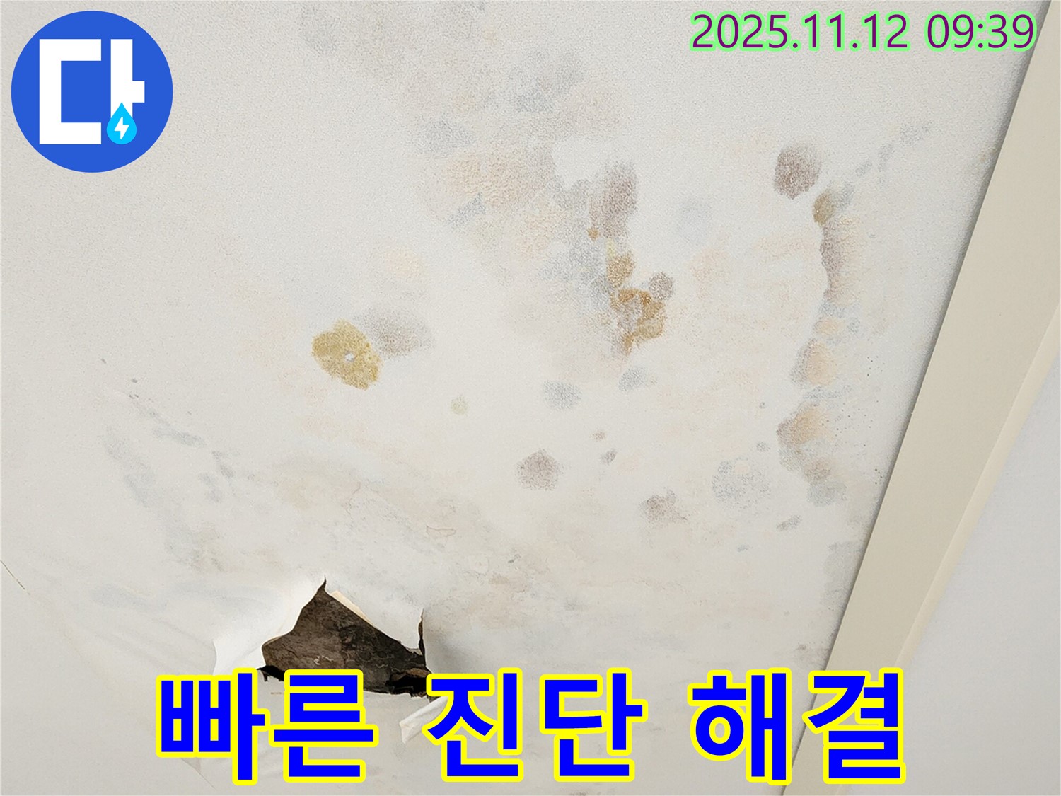 빠른 진단 - 맞춤 해결책 - 누수 고민 해결