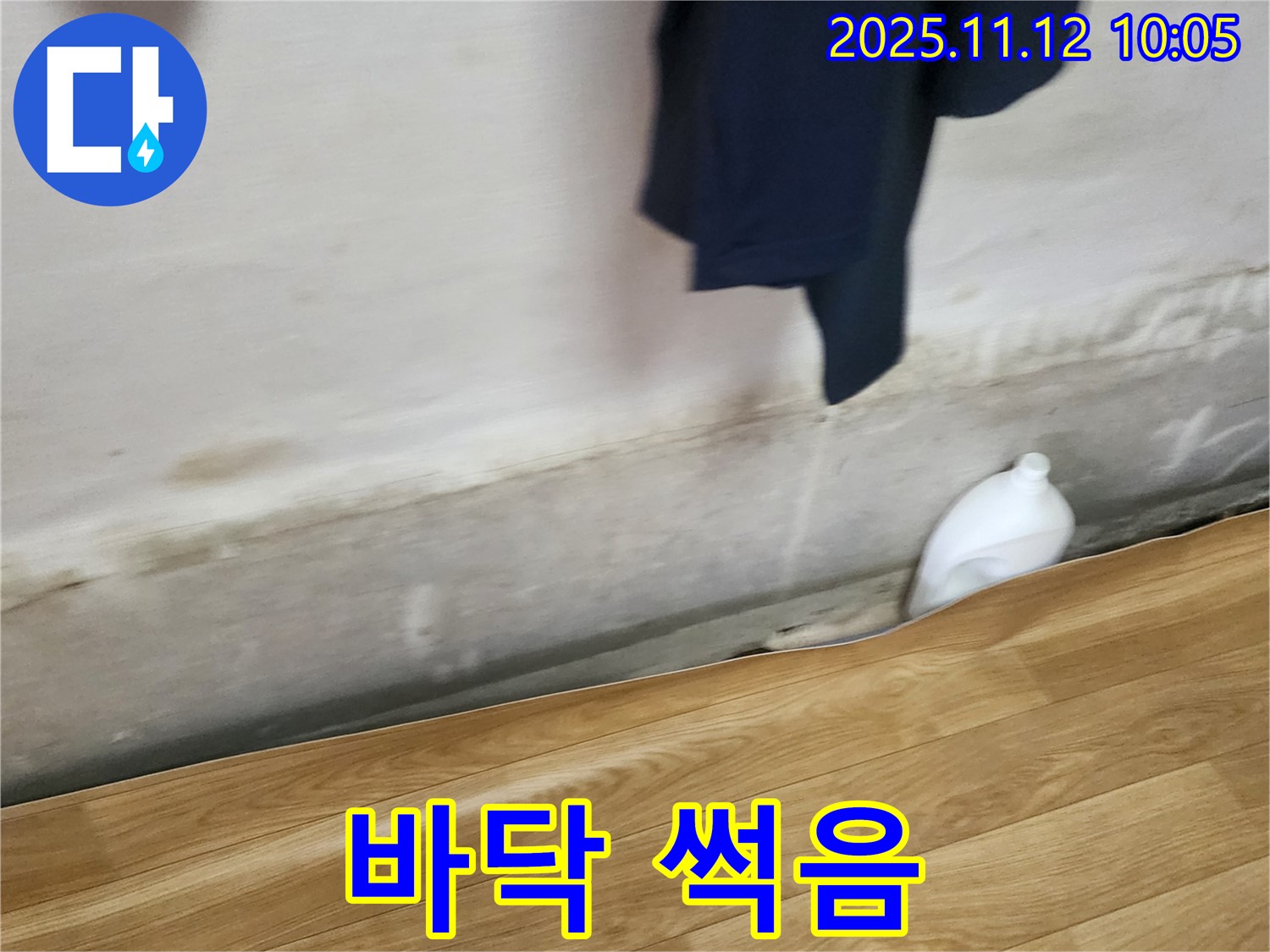 썩은 바닥 - 장판 밑 습기 - 누수 의심