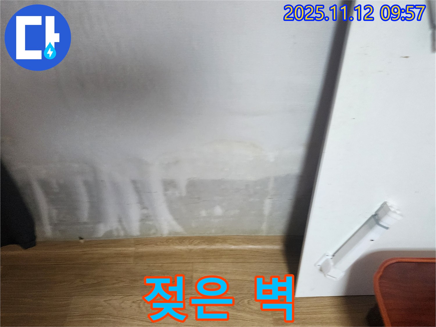 젖은 벽 - 곰팡이 냄새 - 건강 적신호