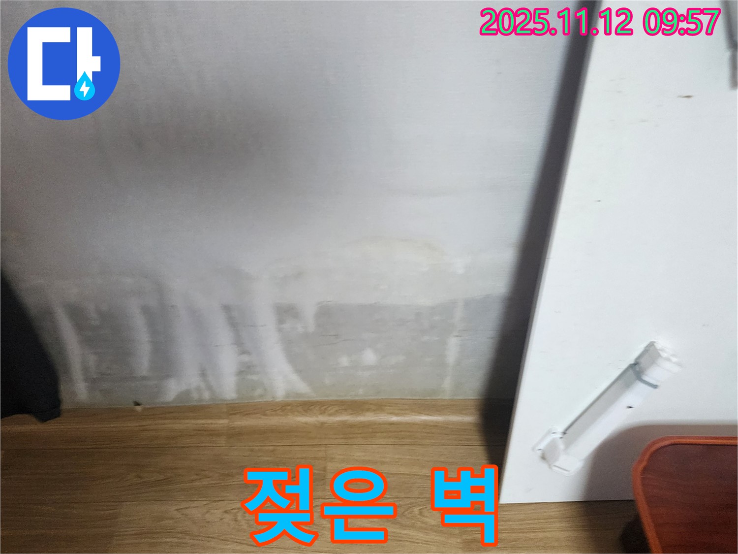 젖은 벽 - 곰팡이 냄새 - 건강 적신호