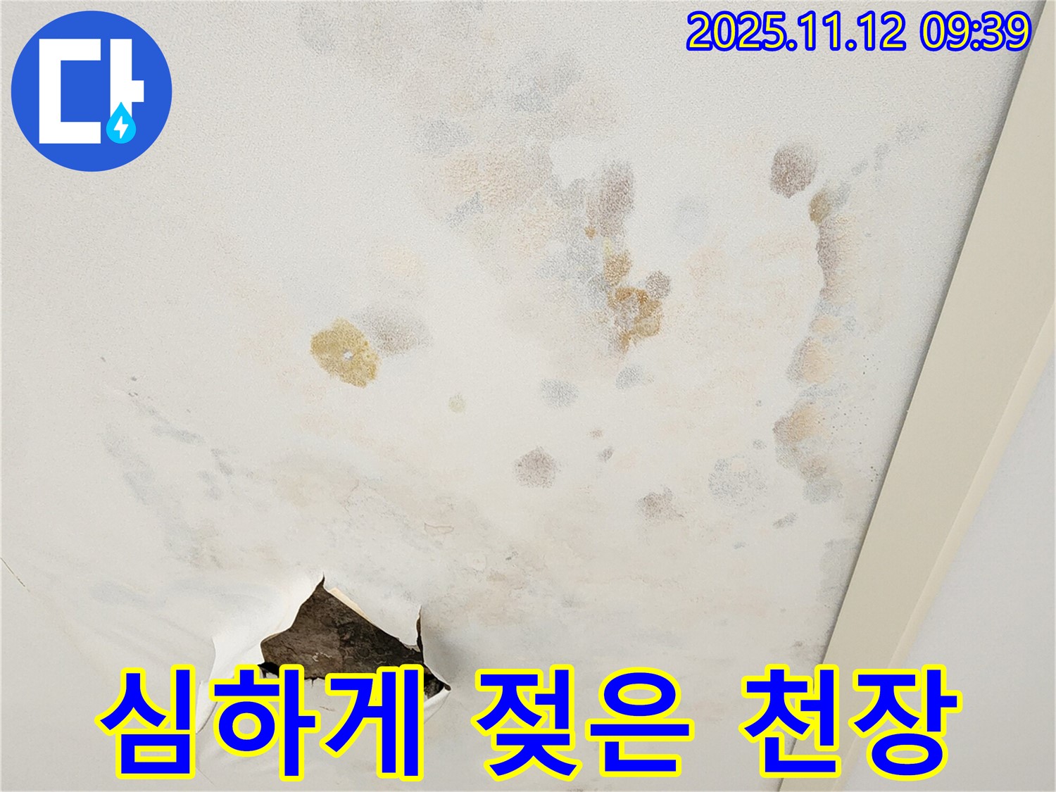 젖은 천장 - 2차 피해 우려 - 긴급 점검 필요