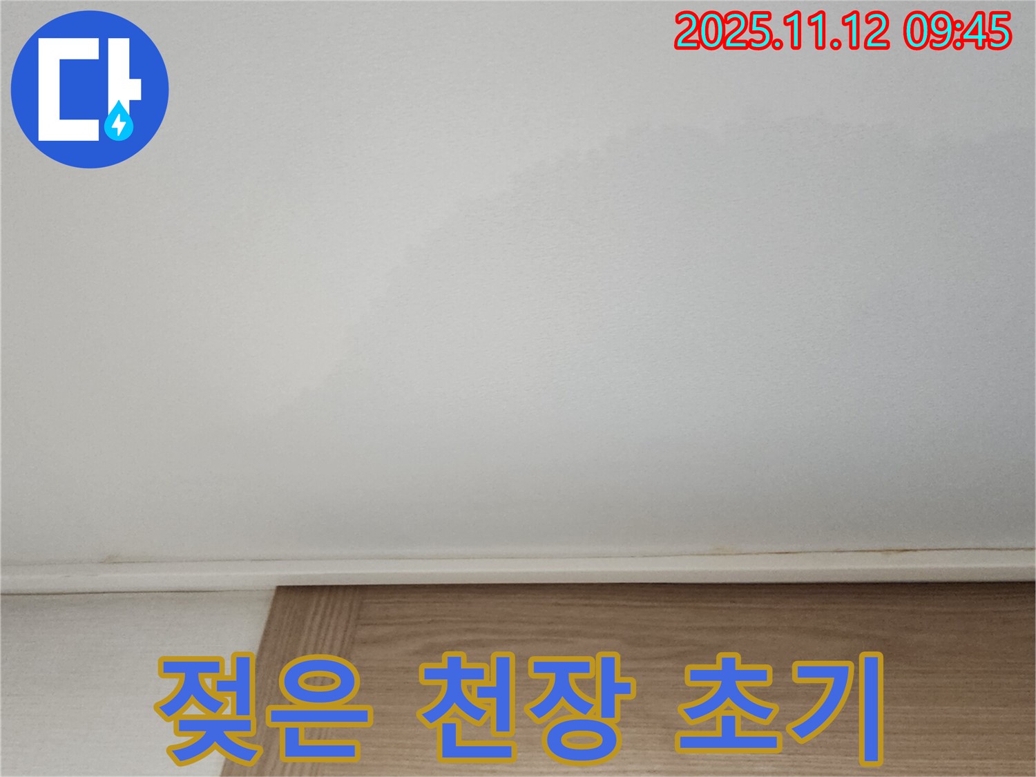 젖은 천장 - 누수 초기 증상일 수 있으니 주의하세요.