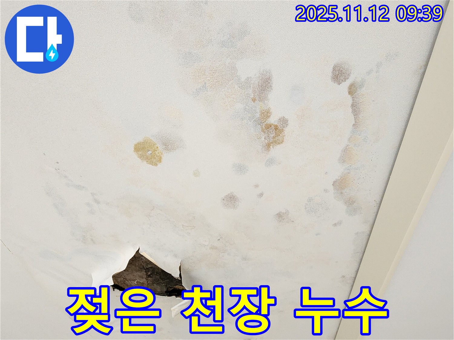 젖은 천장 - 초기 증상 - 누수 의심