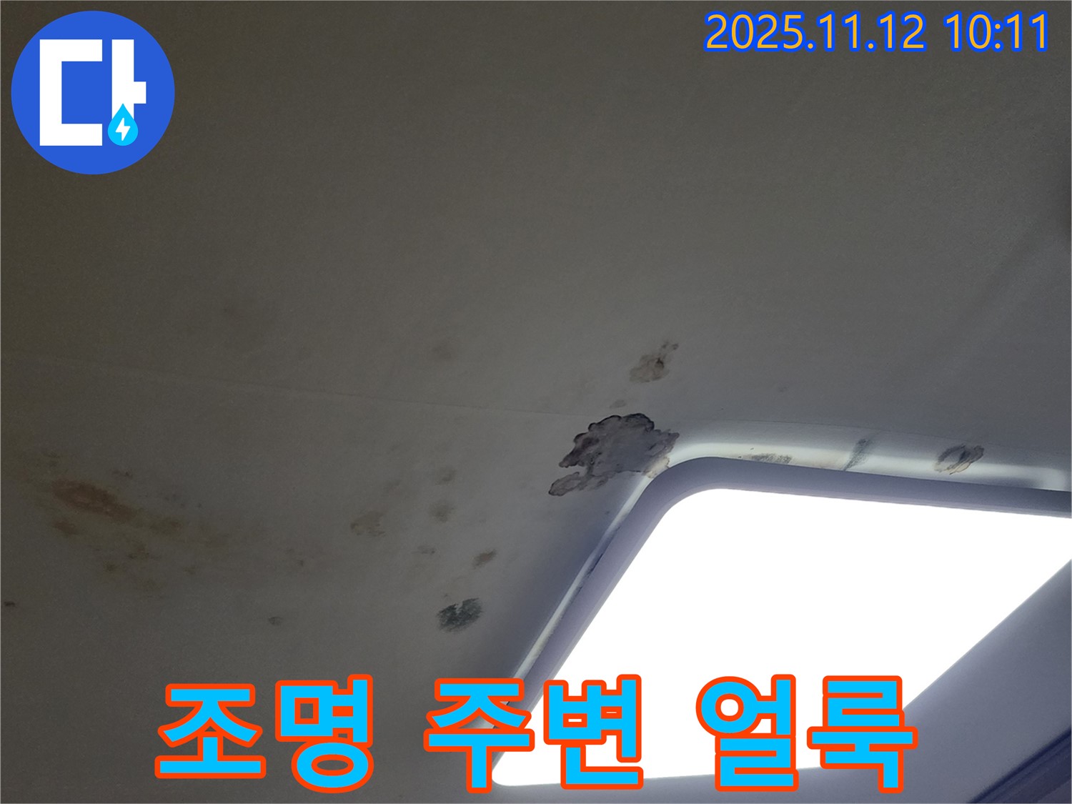 조명 주변 얼룩 - 천장 누수 의심