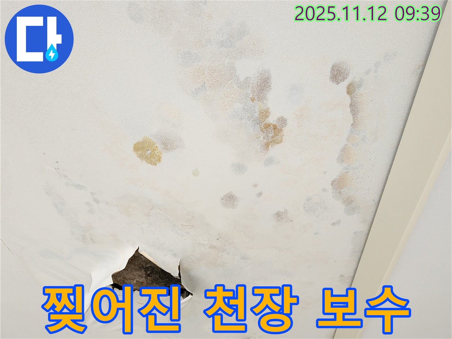 찢어진 천장 - 안전 점검 - 긴급 보수 필요
