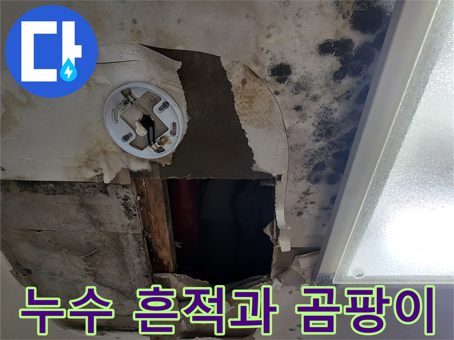 천장 내부의 오염된 배관 주변 상황