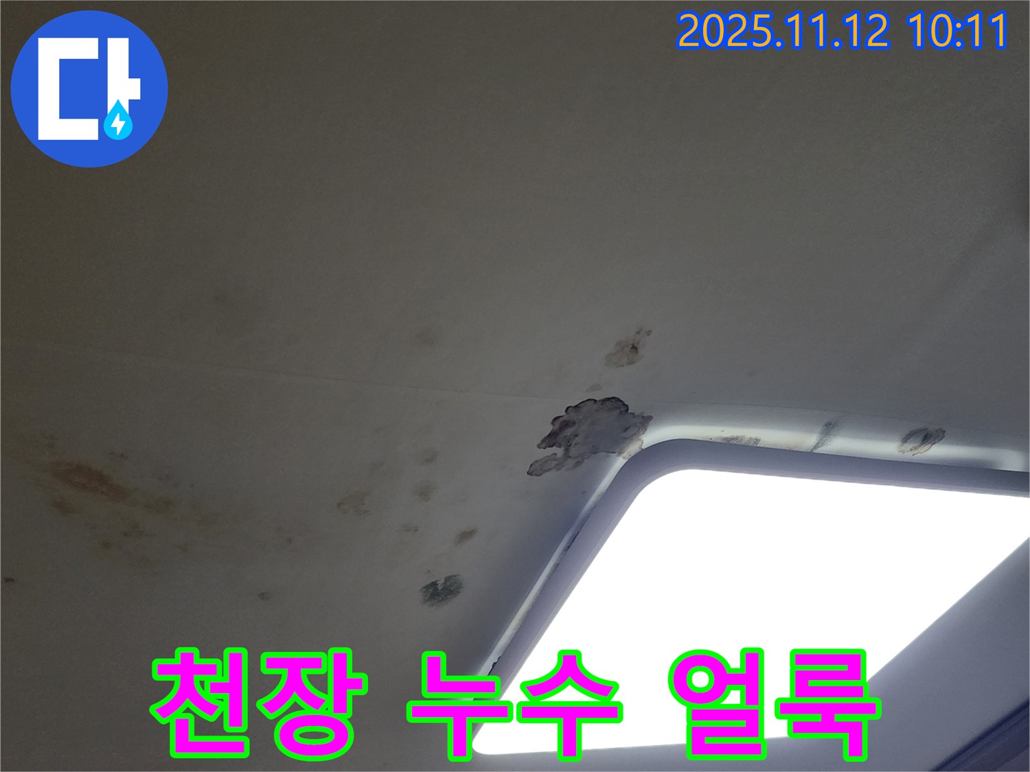 천장 누수 얼룩 - 초기 증상 확인