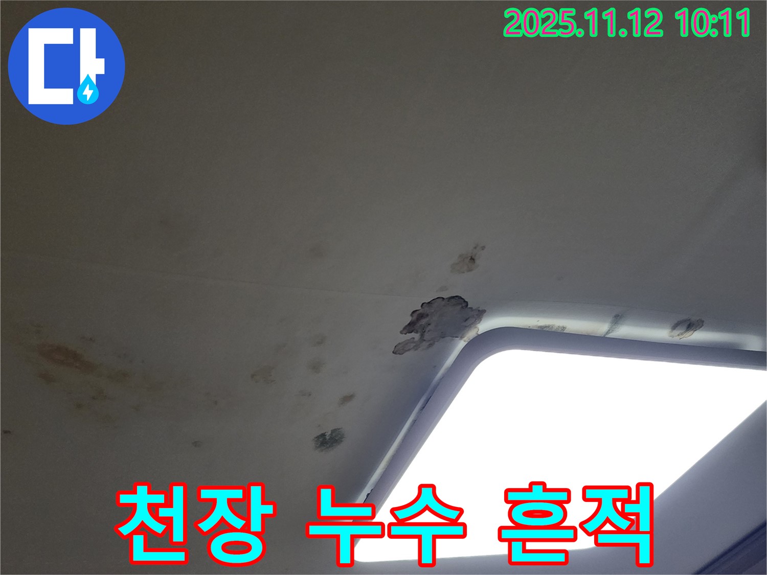 천장 누수 흔적 - 곰팡이와 변색