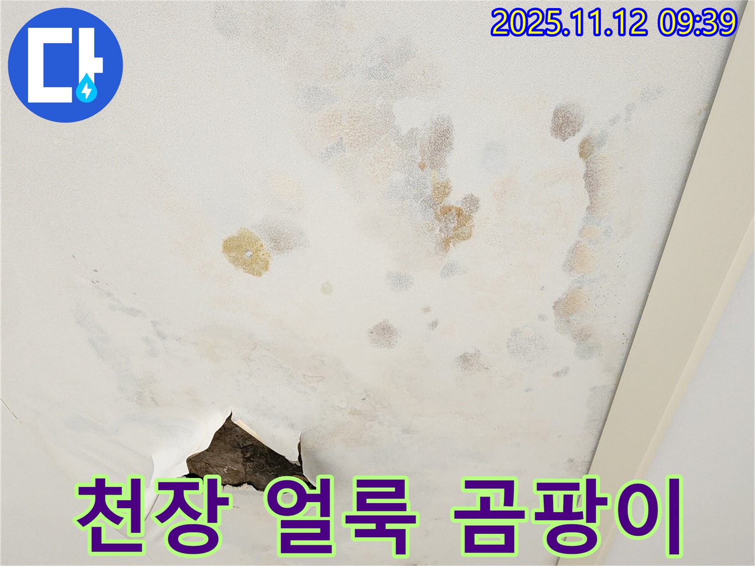 천장 얼룩 - 곰팡이 초기 증상 - 누수 의심