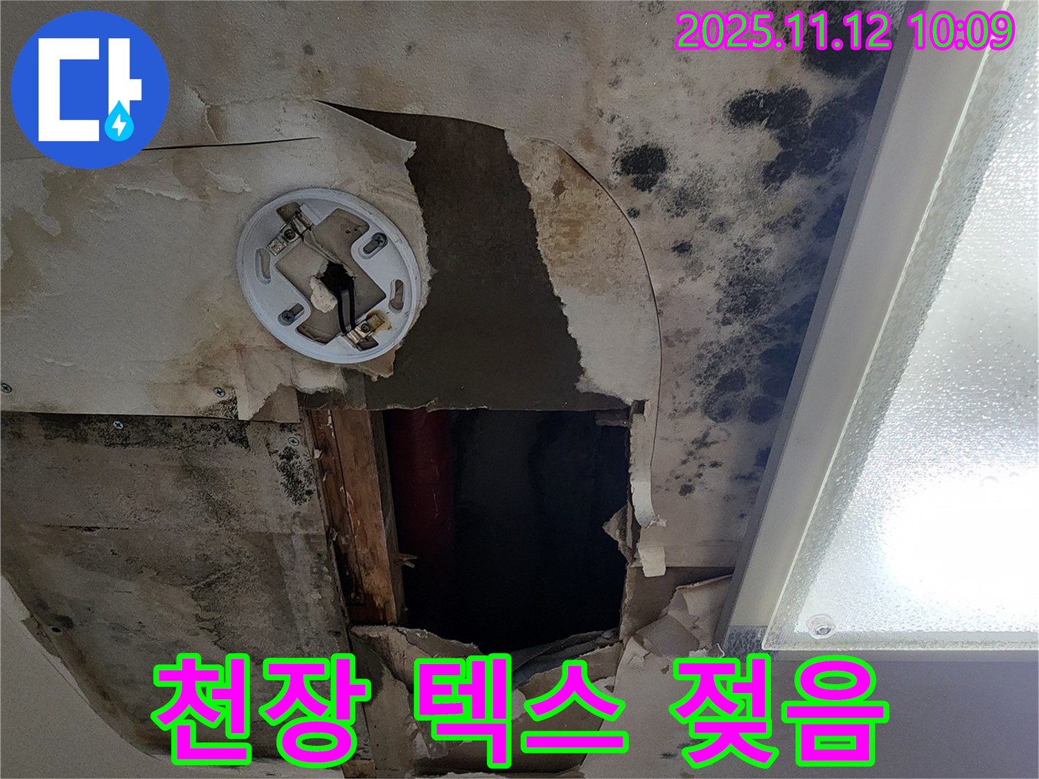 천장 텍스 젖음 - 누수 초기 증상으로 천장 텍스가 젖어 있는 모습