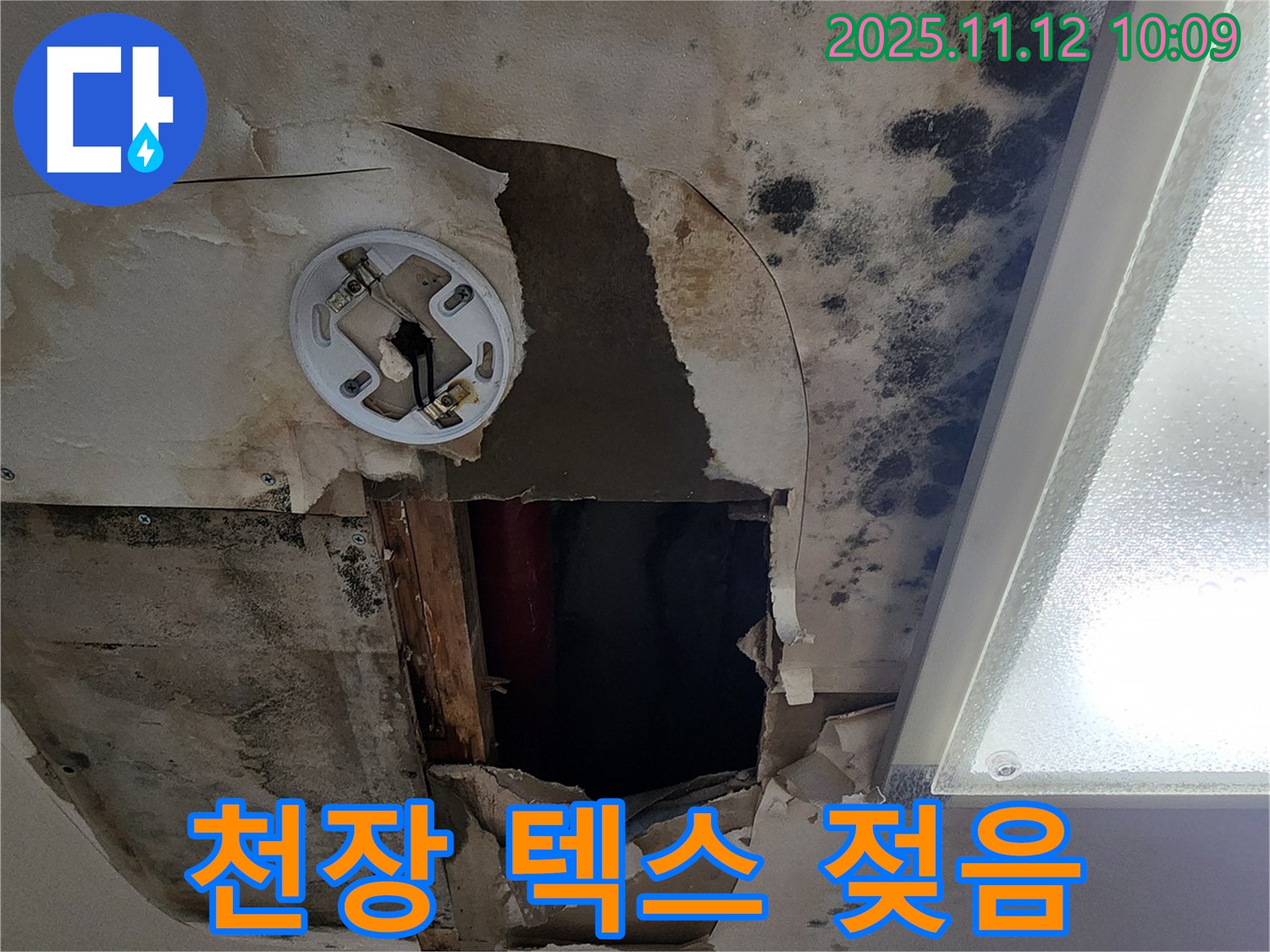 천장 텍스 젖음 - 누수 초기 증상으로 천장 텍스가 젖어 있는 모습