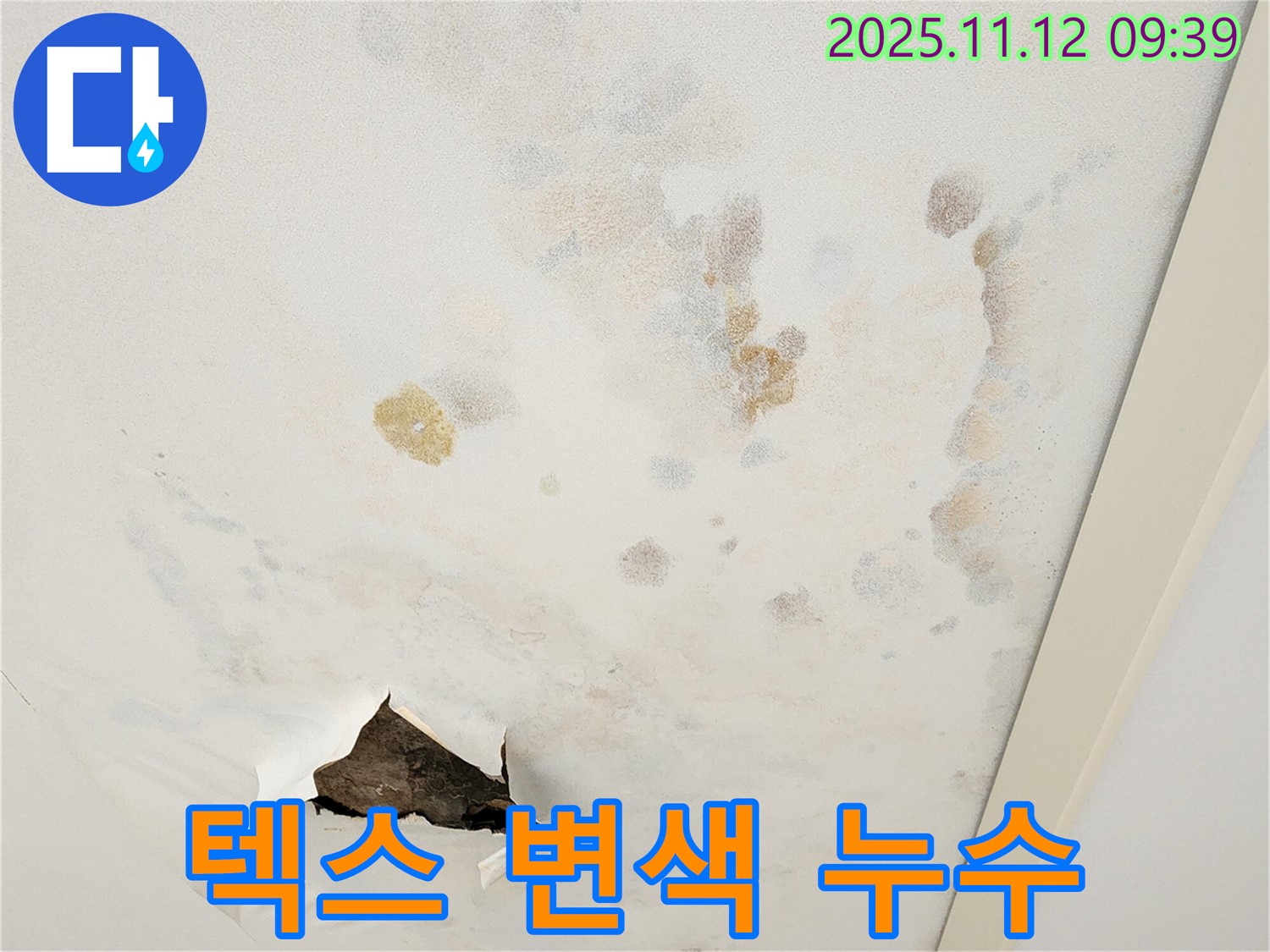 텍스 변색 - 누수 의심 - 정밀 진단