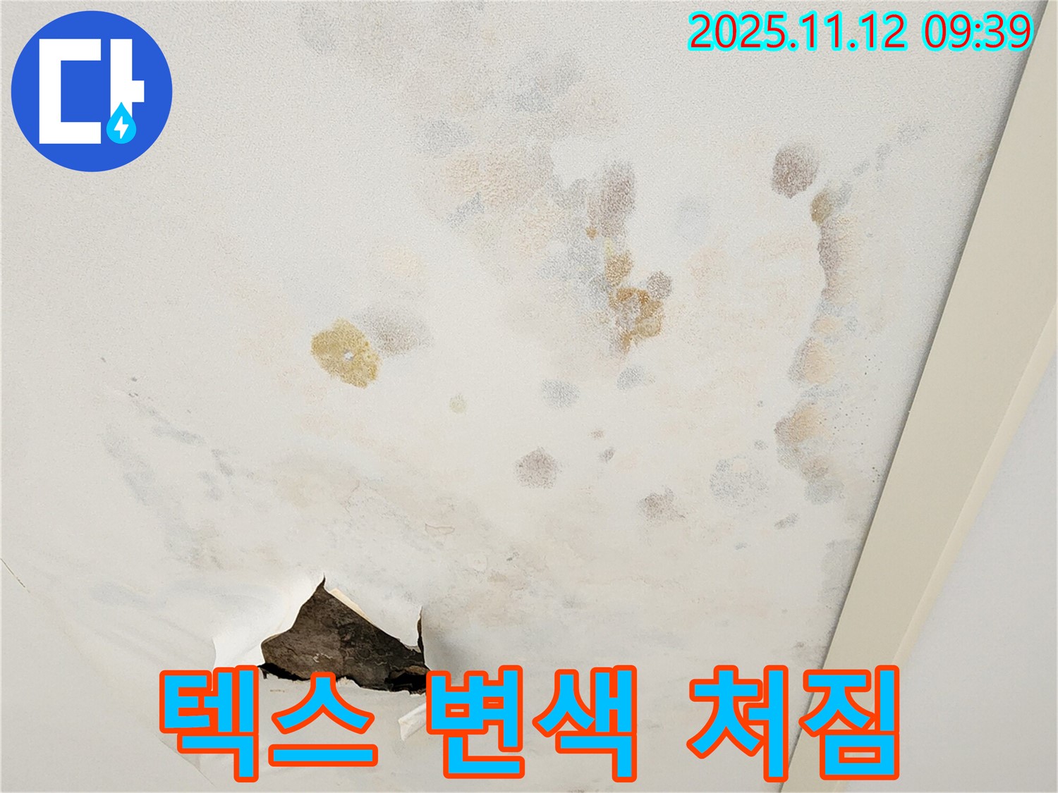 텍스 변색 - 텍스 처짐 - 누수 의심