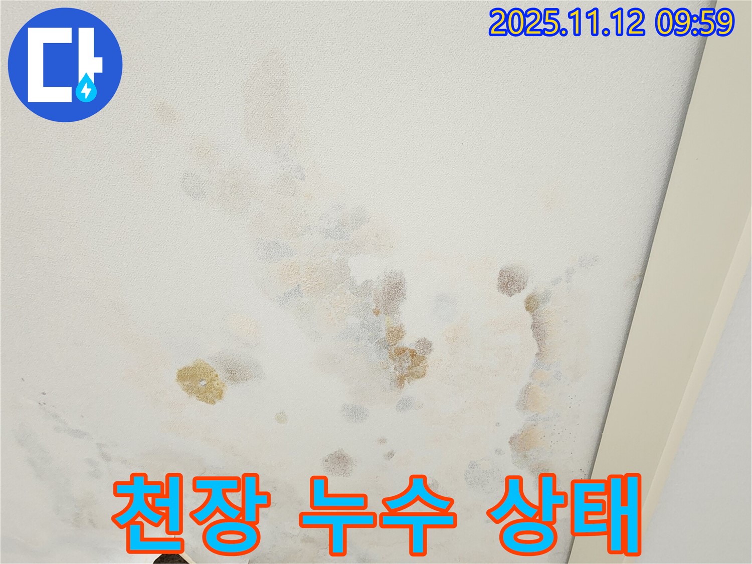 포천 누수 현장 - 천장 누수 상태