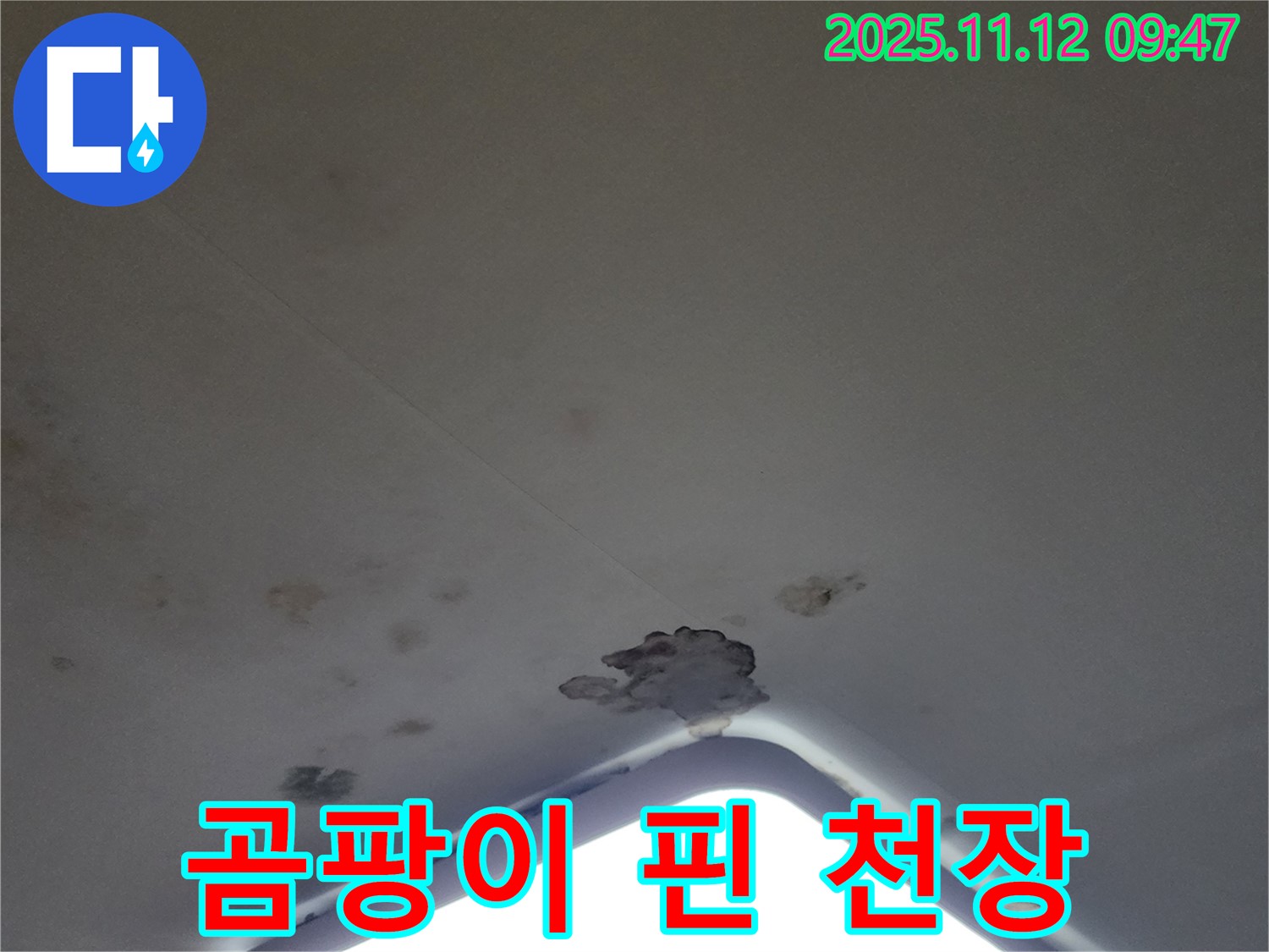 포천 소흘읍 - 곰팡이 핀 천장, 누수 흔적 발견