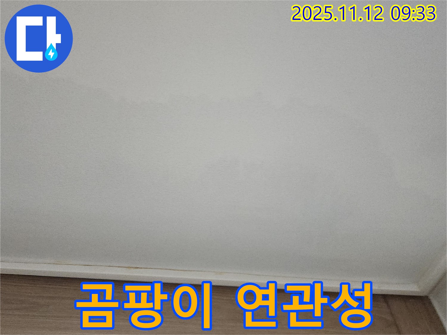 포천 - 천장 곰팡이, 누수 연관성 확인 중