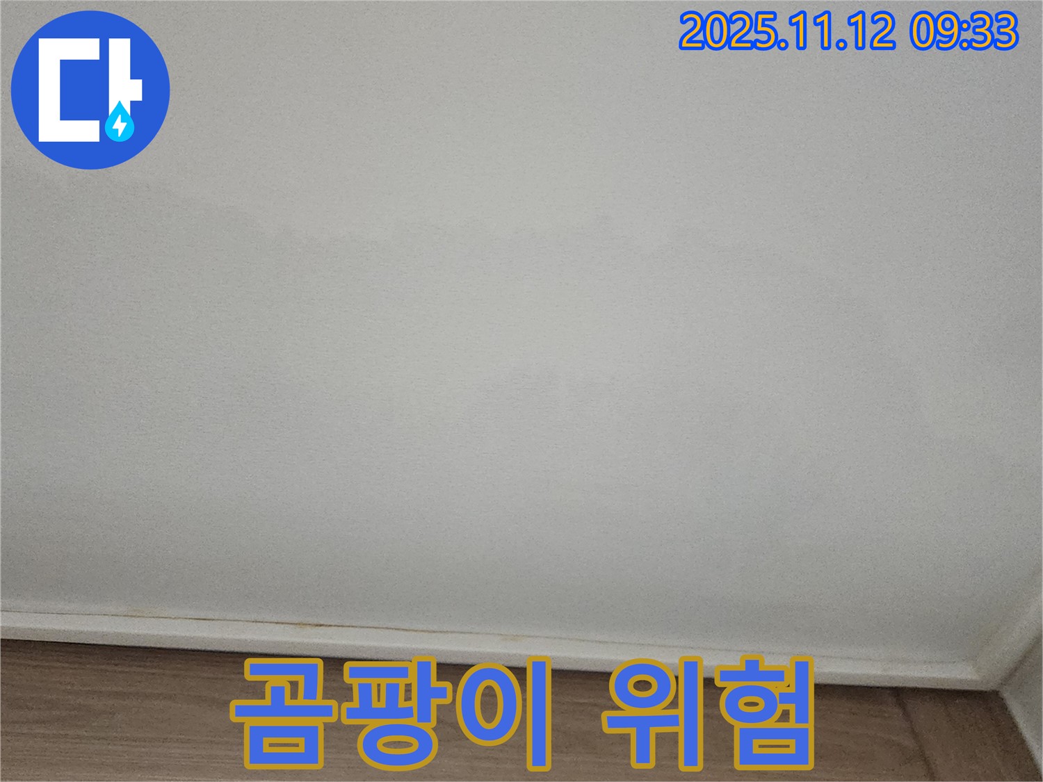포천 - 천장 곰팡이 발생 위험, 사전 점검