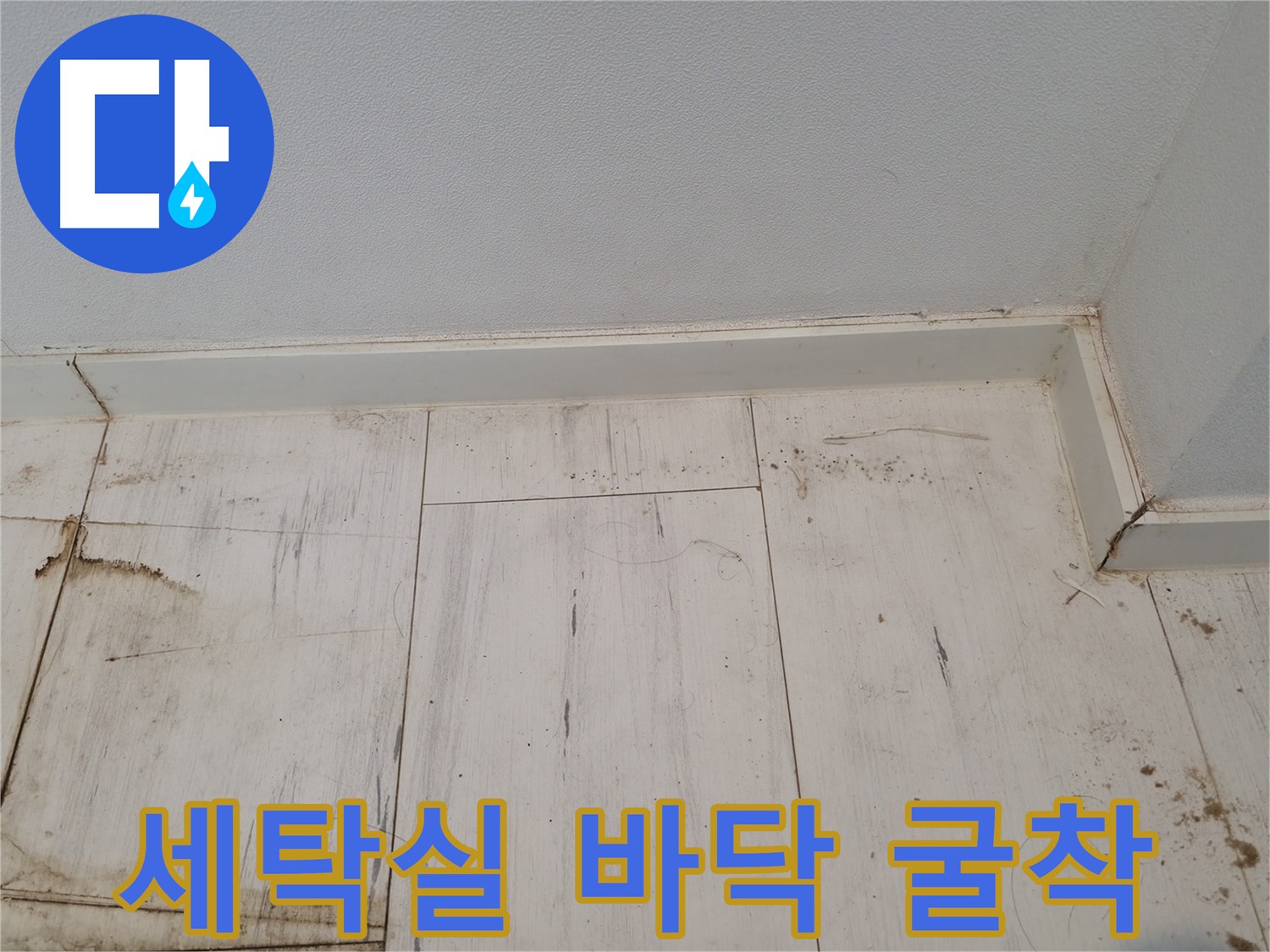 관악구 누수 탐지 - 세탁실 굴착 및 주방 라인 점검