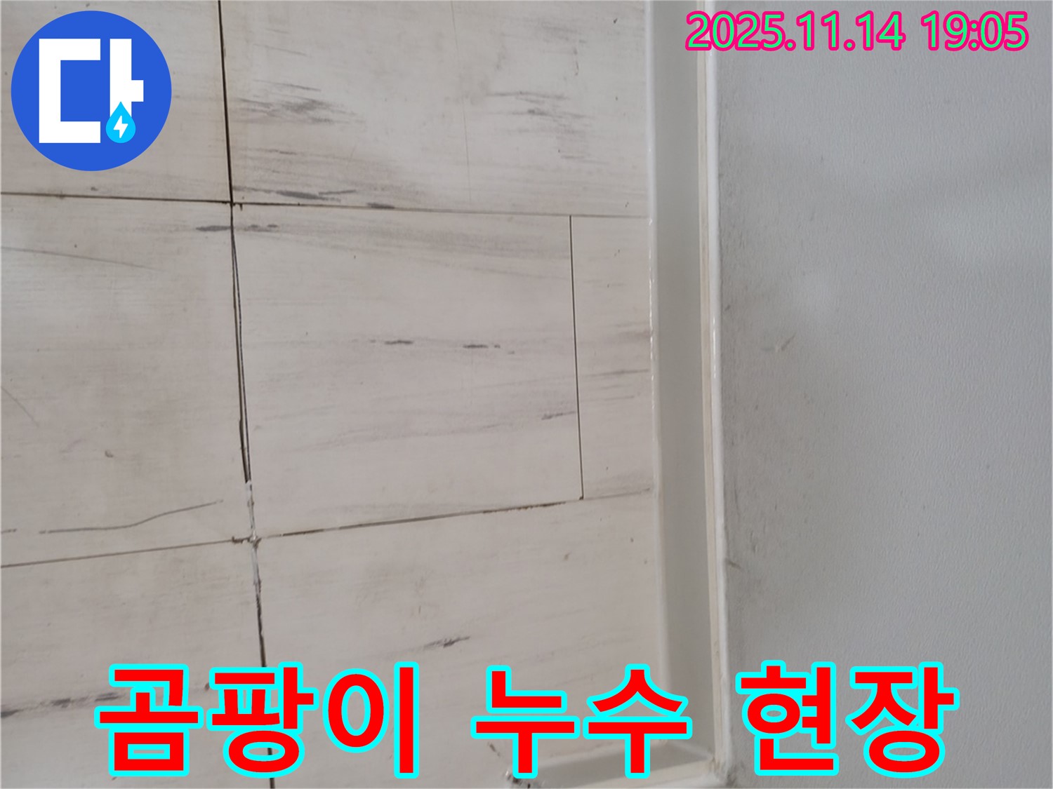 곰팡이 - 누수의 증거, 건강 위협