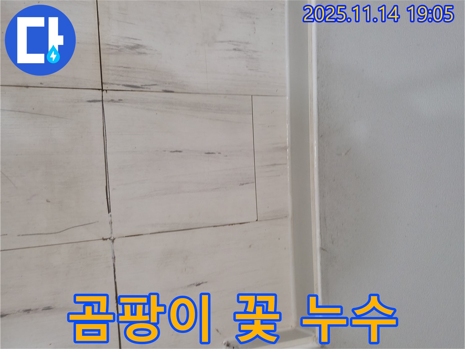 곰팡이 - 누수의 증거, 건강에도 악영향