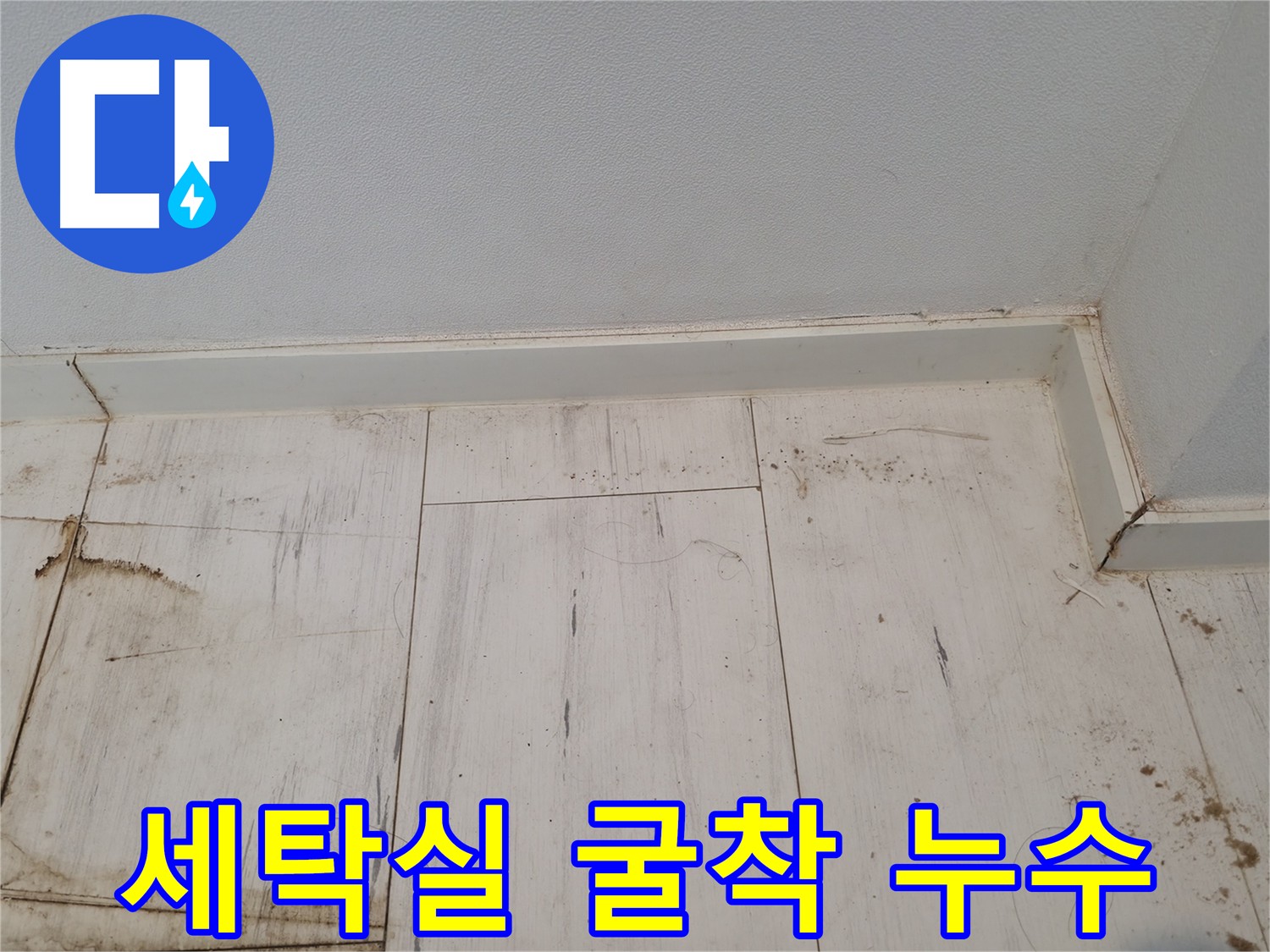 관악구 누수 탐지 및 해결 - 세탁기 이동 후 굴착 시작