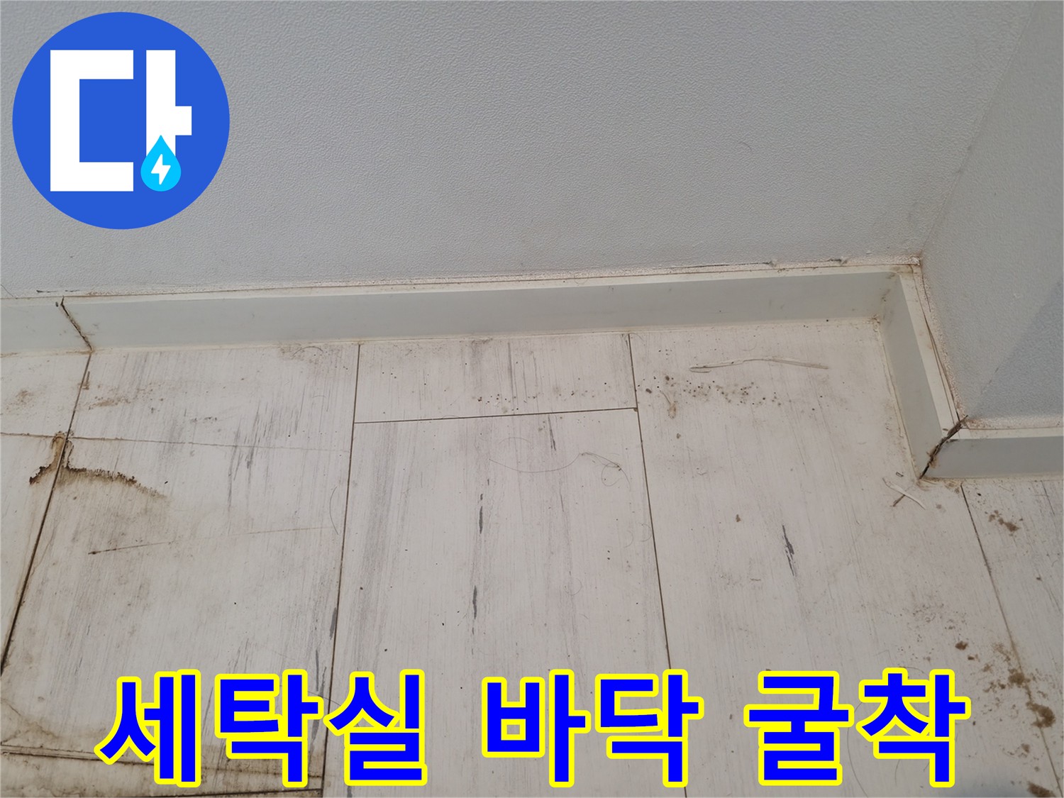 관악구 누수 탐지 - 세탁실 굴착 및 주방 라인 점검 예정