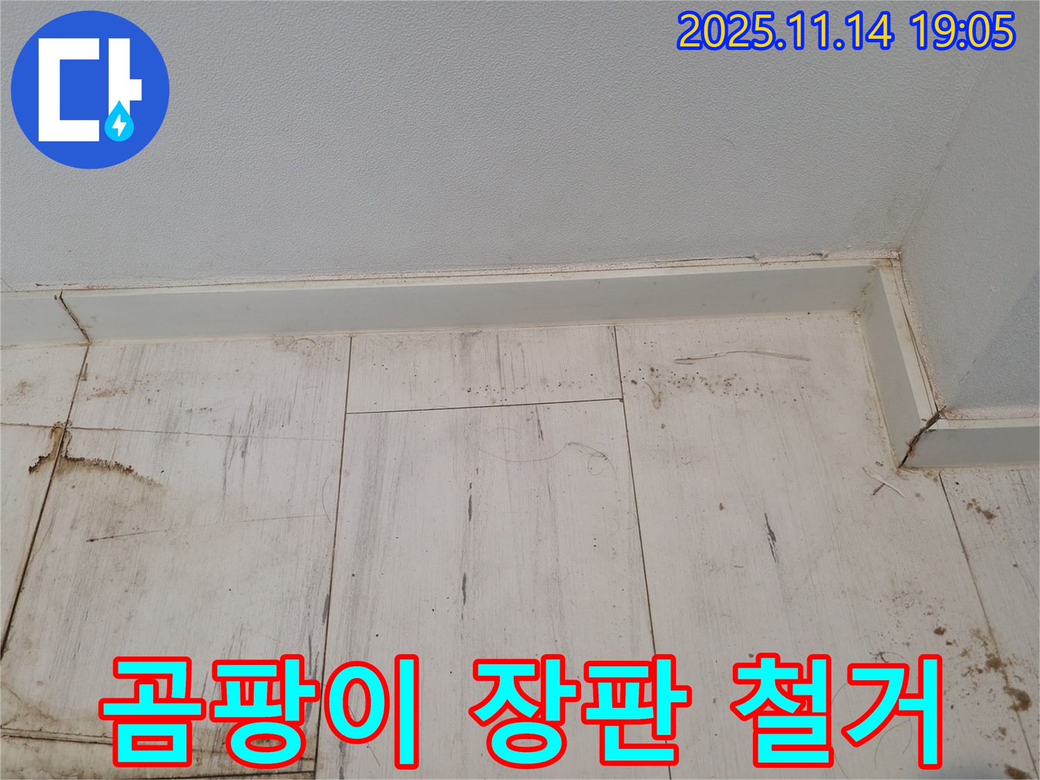 관악구 누수 - 곰팡이가 심하게 슨 장판의 최후