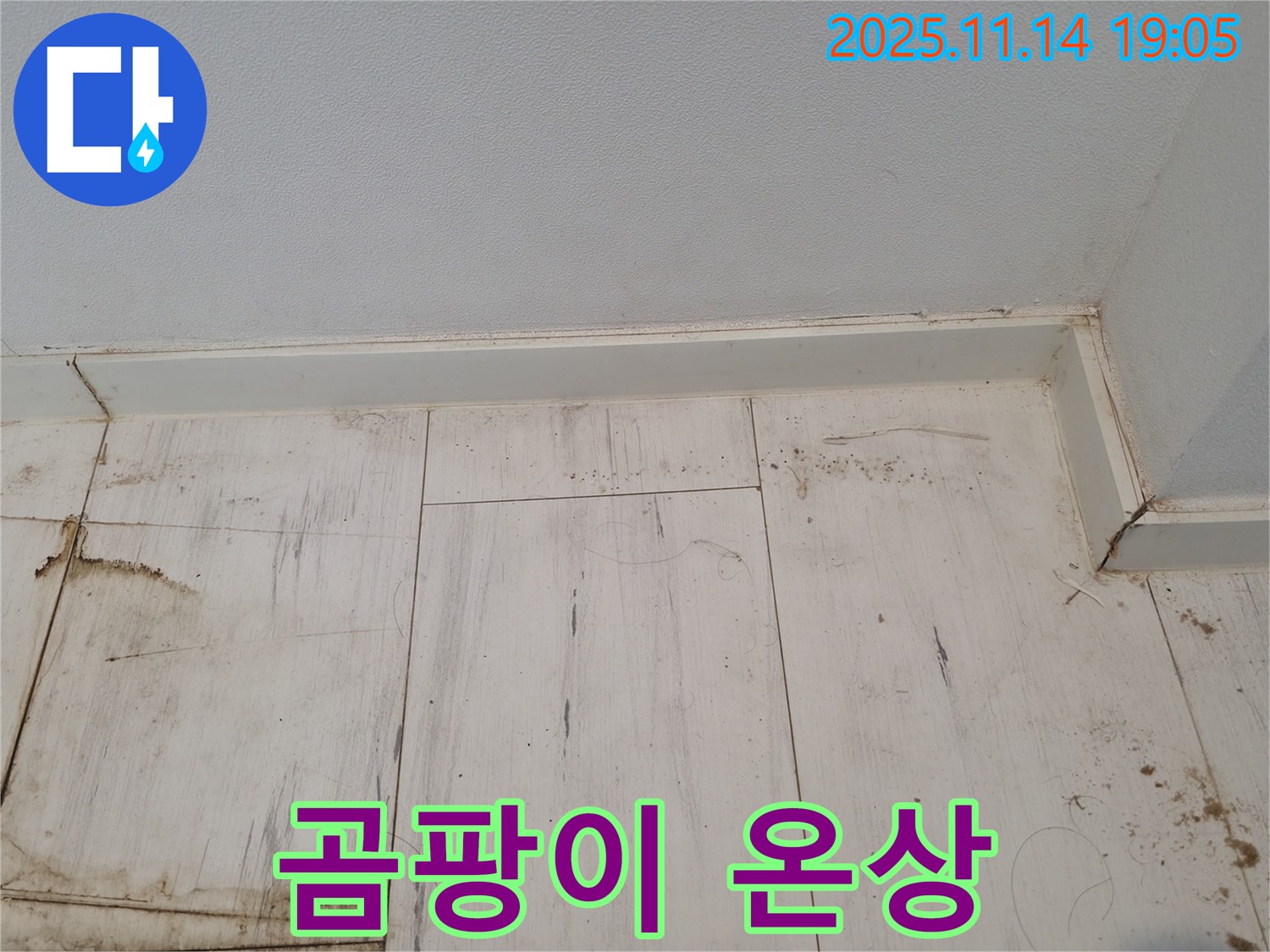 관악구 누수 - 젖은 장판, 곰팡이의 온상입니다!