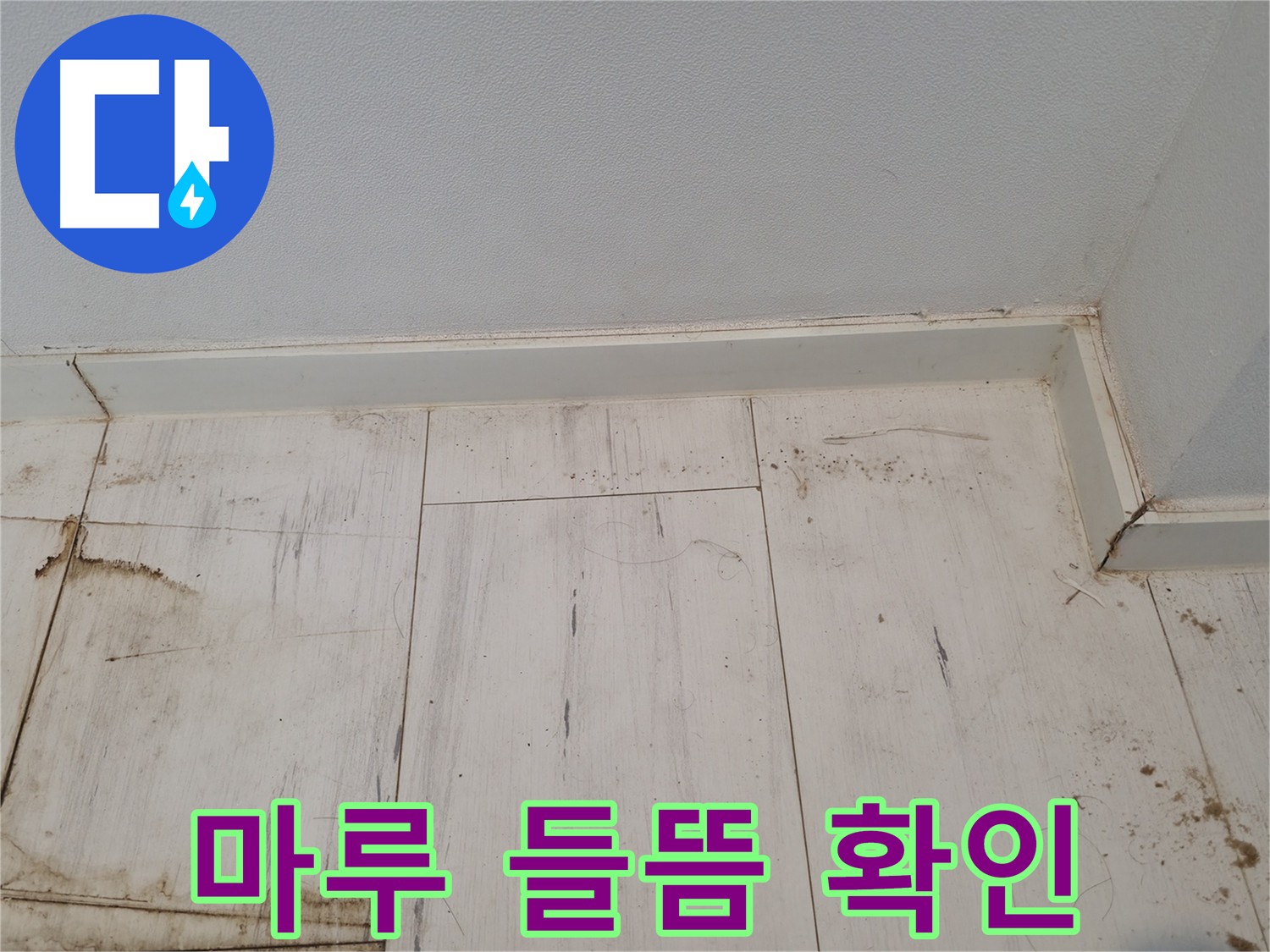관악구 누수 탐지 - 마루 들뜸 현상 점검 및 원인 분석