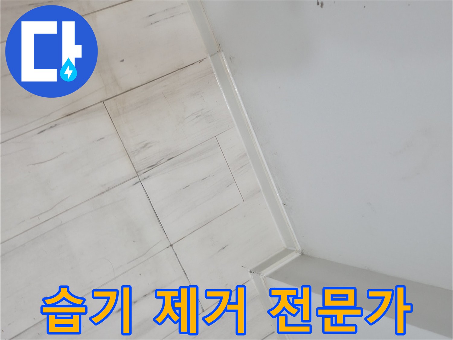 신림동 장판 밑 습기 누수 안전 위협 예방
